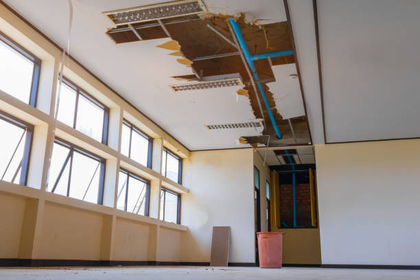  Shamokin Dam, PA Water damage restoration Pros