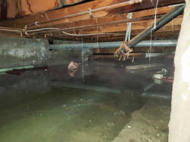 Best Local water damage restoration  in Shamokin Dam, PA