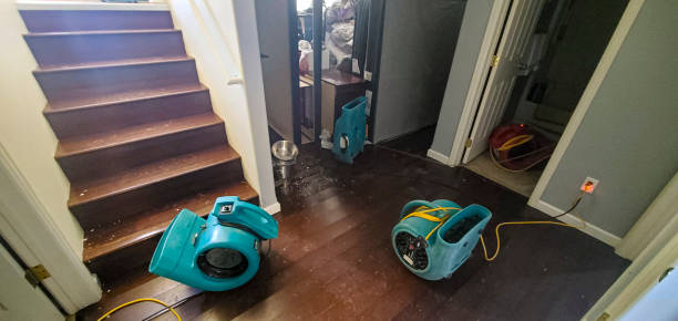 Best Professional water damage repair  in Shamokin Dam, PA