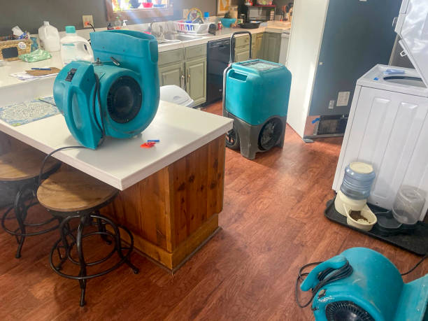 Best Water damage restoration services  in Shamokin Dam, PA