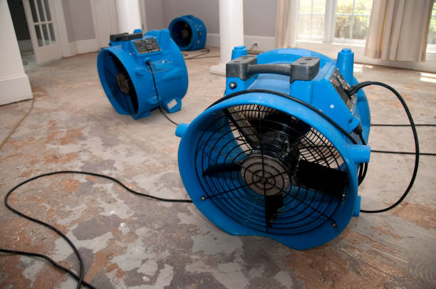 Best Water damage restoration specialists  in Shamokin Dam, PA