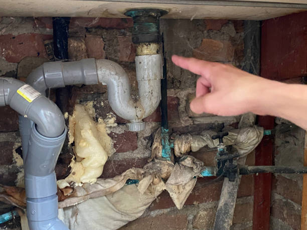 Best Water damage cleanup near me  in Shamokin Dam, PA