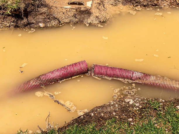 Best Water damage restoration near me  in Shamokin Dam, PA