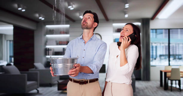Best Flood damage cleanup  in Shamokin Dam, PA