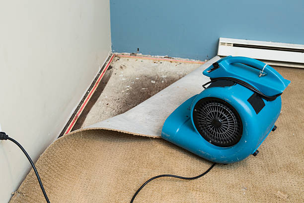 Best Commercial water damage restoration  in Shamokin Dam, PA